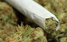 В Гусеве сотрудники уголовного розыска обнаружили у местного жителя более 25 граммов марихуаны