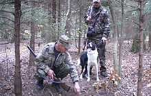 В Калининградской области открыта охота на кабана и косулю
