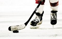 ФОК: 20 и 21 февраля приглашаем всех желающих на юношеский хоккей с шайбой
