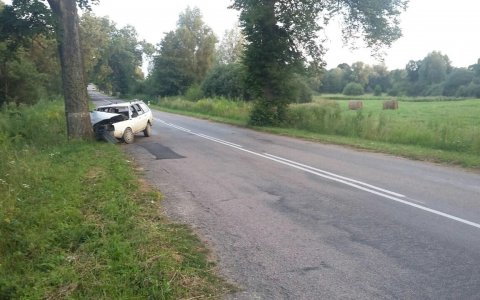 Под Гусевом пьяный водитель «Фольксвагена» врезался в дерево, погиб пассажир