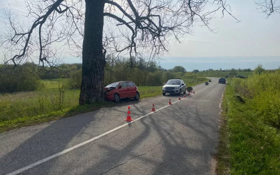 В Гусевском районе «Фольксваген» врезался в дерево, водитель госпитализирована