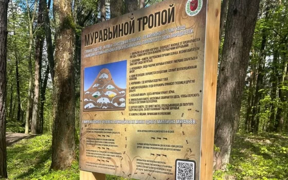 27 апреля в Грэсовском лесу состоится открытие обновлённой экотропы