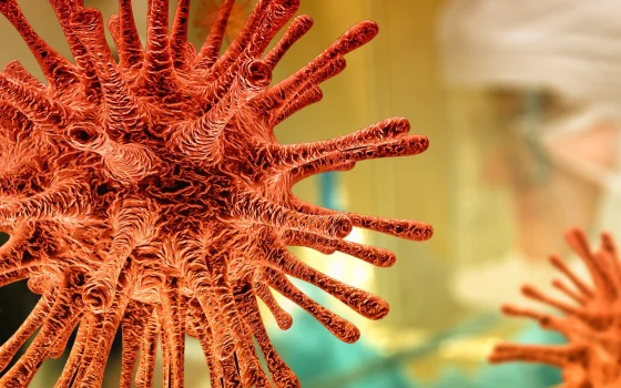 За сутки в Гусеве выявили 4 случая заражения коронавирусом
